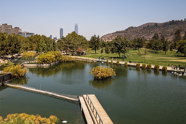 LA FLORA DE NUESTRO PARQUE, UNA CAMINATA CON SENTIDO [24622]